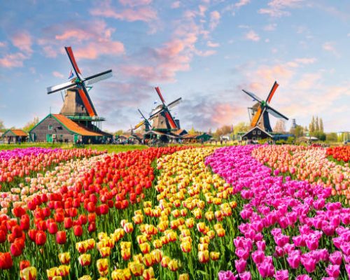 Traditional dutch windmills and houses near the canal in Zaanstad village, Zaanse Schans, Netherlands, Europe